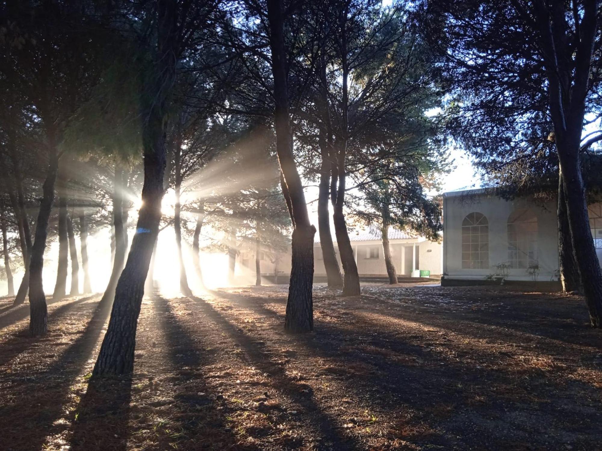Albergue Zaragoza Camping 外观 照片